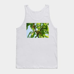 Young Almond Drupes Tank Top